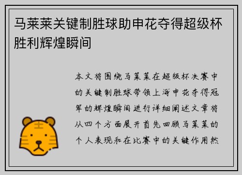 马莱莱关键制胜球助申花夺得超级杯胜利辉煌瞬间